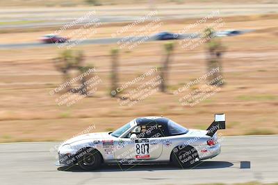 media/May-06-2023-Lucky Dog Racing (Sat) [[8f2256f436]]/Turn 2 10a/